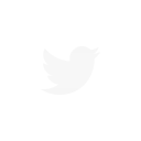 the Twitter logo